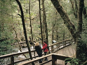 Franklin River Nature Trail - Attractions 0
