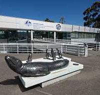 Australia's Antarctic Headquarters - Attractions