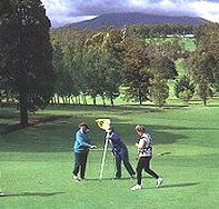 Deloraine Golf Course - Attractions