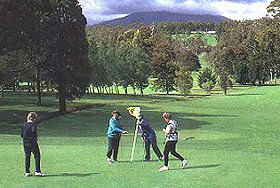 Deloraine Golf Course - Attractions 0