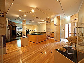 Tasmanian Tiger Exhibition - Attractions 0