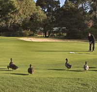 Royal Hobart Golf Club - Attractions