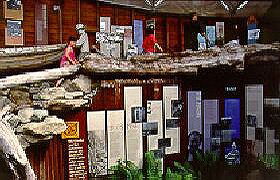 West Coast Visitor Information And Booking Centre - Attractions 0