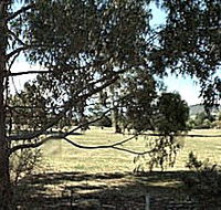 Cygnet Public Golf Course - Attractions