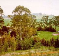 The Tasmanian Arboretum - Attractions