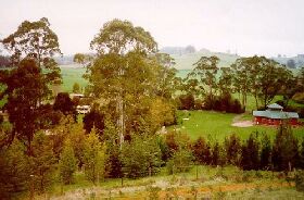 The Tasmanian Arboretum - Attractions 0