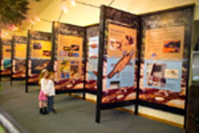 Platypus Experience - Attractions 0