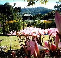 Blueberry Cottage Open Gardens - Attractions