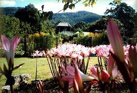 Blueberry Cottage Open Gardens - Attractions 0