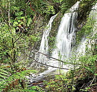Hogarth Falls - Attractions