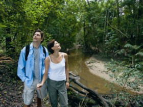 Mooloolah River National Park, Jowarra Section - Attractions 0