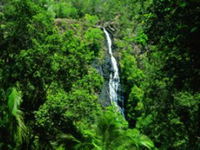 Book Montville Accommodation Vacations Attractions Attractions