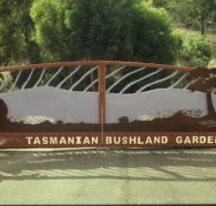 Tasmanian Bushland Garden - Attractions
