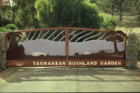 Tasmanian Bushland Garden - Attractions 0