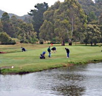 Penguin Golf Course - Attractions