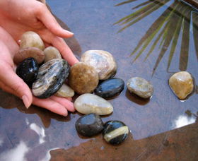 Earth Day Spa - Attractions 0