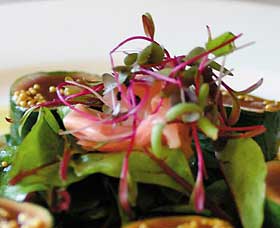 Courgette - Attractions 0