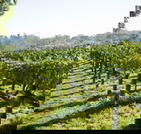 Surveyor's Hill Vineyards - Attractions