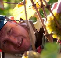 Puddleduck Vineyard - Attractions