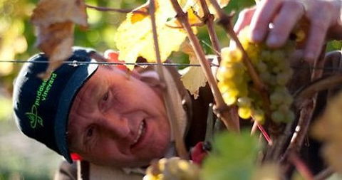 Puddleduck Vineyard - Attractions 0