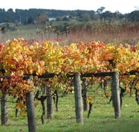 Apsley Gorge Vineyard - Attractions