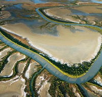 The Wilderness Gallery - Attractions