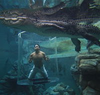 Crocosaurus Cove - Attractions
