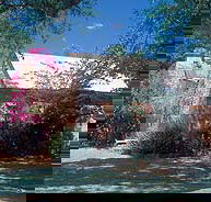 Springvale Homestead - Attractions