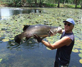 Barra Feeding - Attractions 0