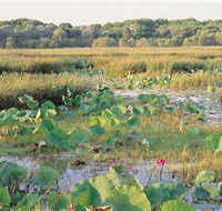 Fogg Dam Conservation Reserve - Attractions