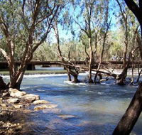 Low Level Nature Reserve - Attractions