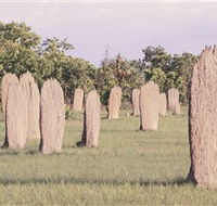 Magnetic Termite Mounds - Attractions