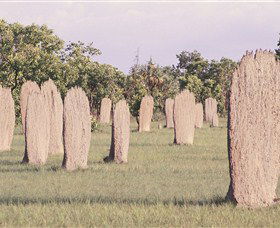 Magnetic Termite Mounds - Attractions 0
