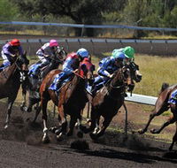 Alice Springs Turf Club - Attractions