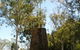 Katherine Overland Telegraph Pylons - thumb 0