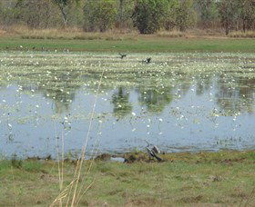 Leaning Tree Lagoon Nature Park - Attractions 0