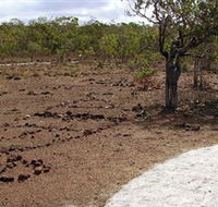 Wurrwurrwuy Garanhan Macassan Beach Interpretive Walk - Attractions