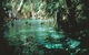 Mataranka Thermal Pool - thumb 0