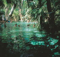 Mataranka Thermal Pool - Attractions
