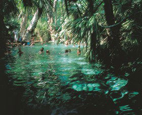 Mataranka Thermal Pool - Attractions 0