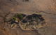 Henbury Meteorites Conservation Reserve - thumb 0