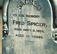 Stuart Town Cemetery - Attractions