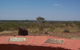 Bill Allen Lookout - thumb 0
