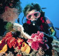 Cook Island Dive Site - Attractions