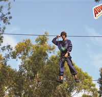 Adventure Parc at Currumbin Wildlife Sanctuary - Attractions