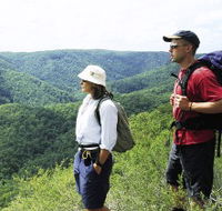 Sunshine Coast Hinterland Great Walk - Attractions