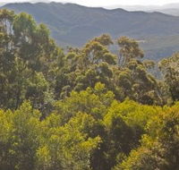 Conondale National Park - Attractions