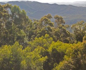 Conondale National Park - Attractions 0