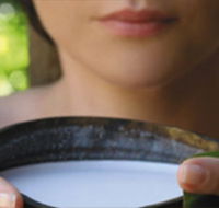 Ikatan Day Spa - Attractions