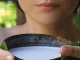 Ikatan Day Spa - Attractions 0